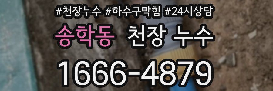 송학동 천장 누수