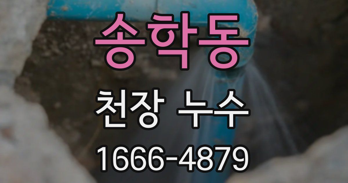 송학동 천장 누수