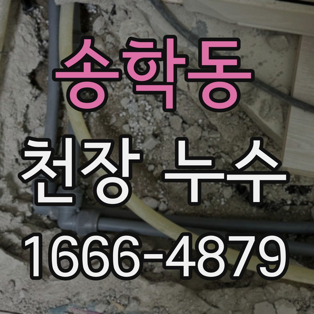 송학동 천장 누수