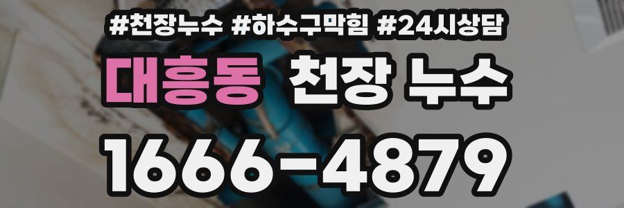 대흥동 천장 누수