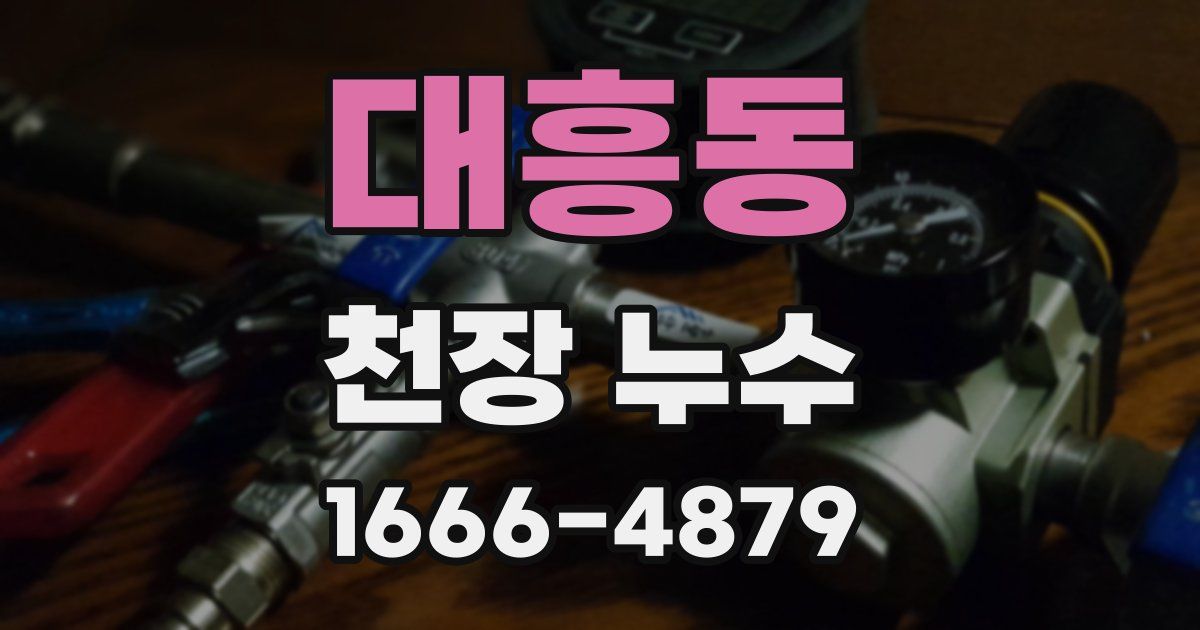 대흥동 천장 누수