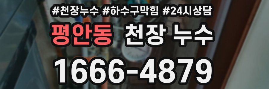 평안동 천장 누수