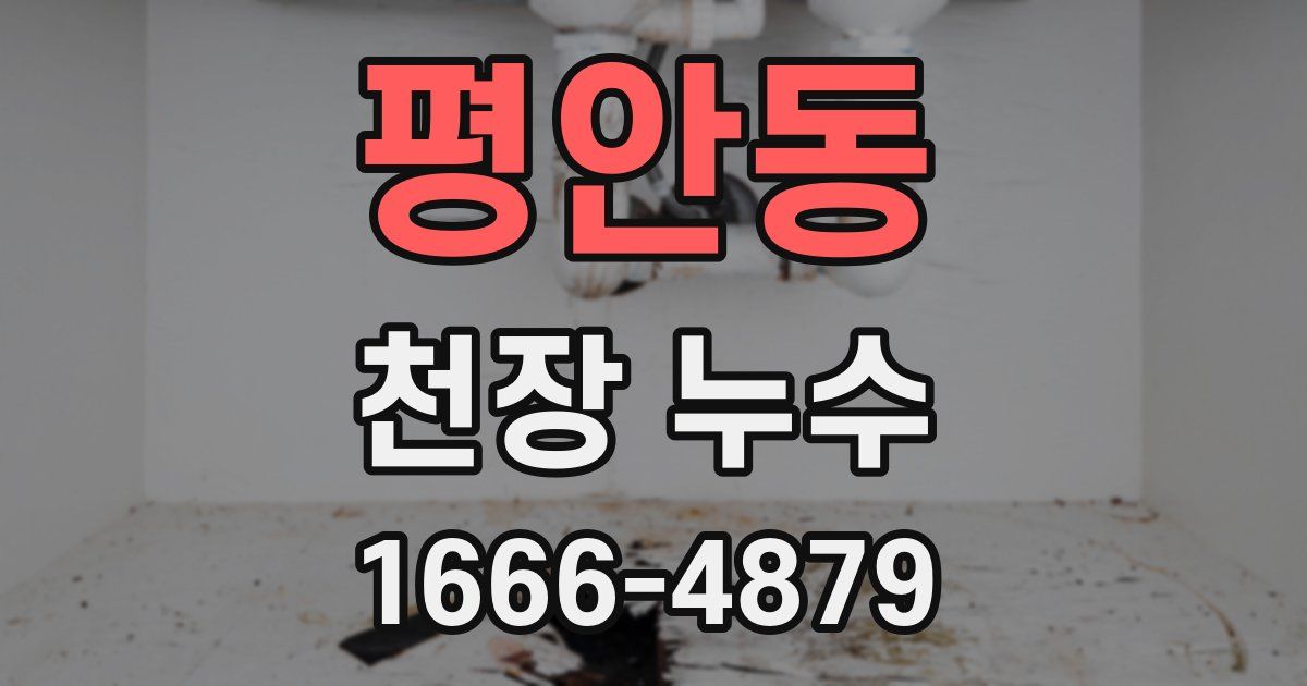 평안동 천장 누수