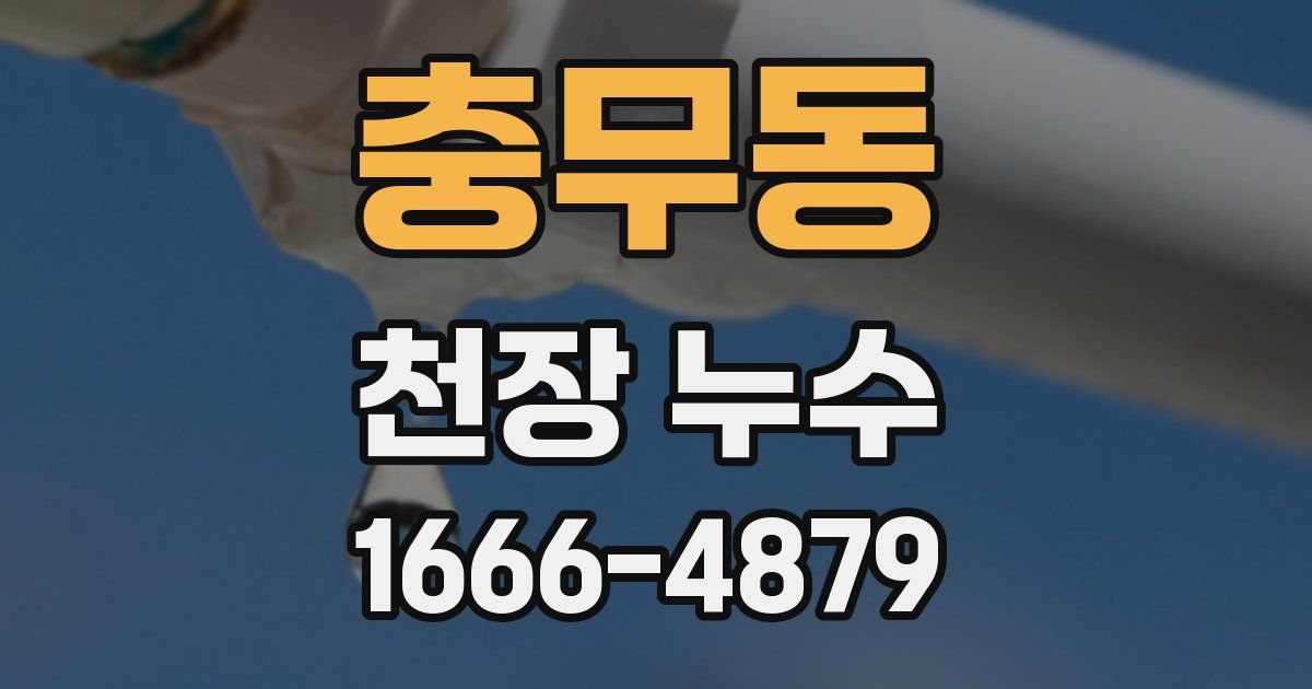 충무동 천장 누수