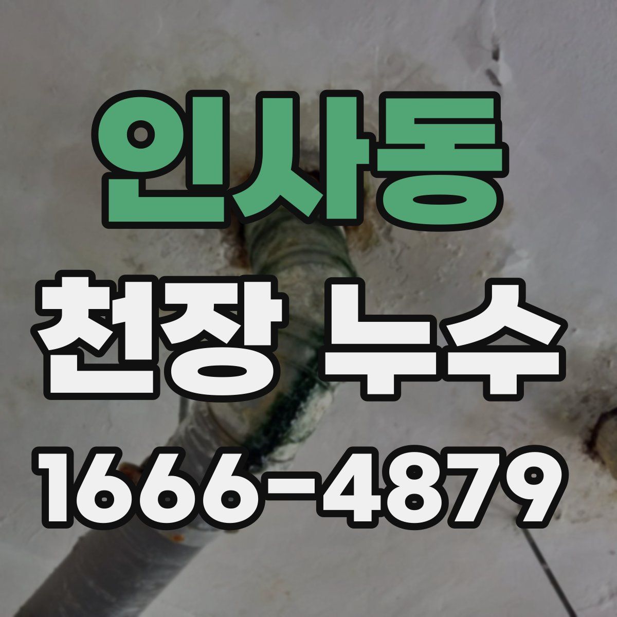 인사동 천장 누수