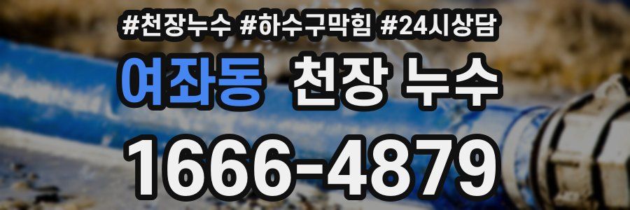 여좌동 천장 누수