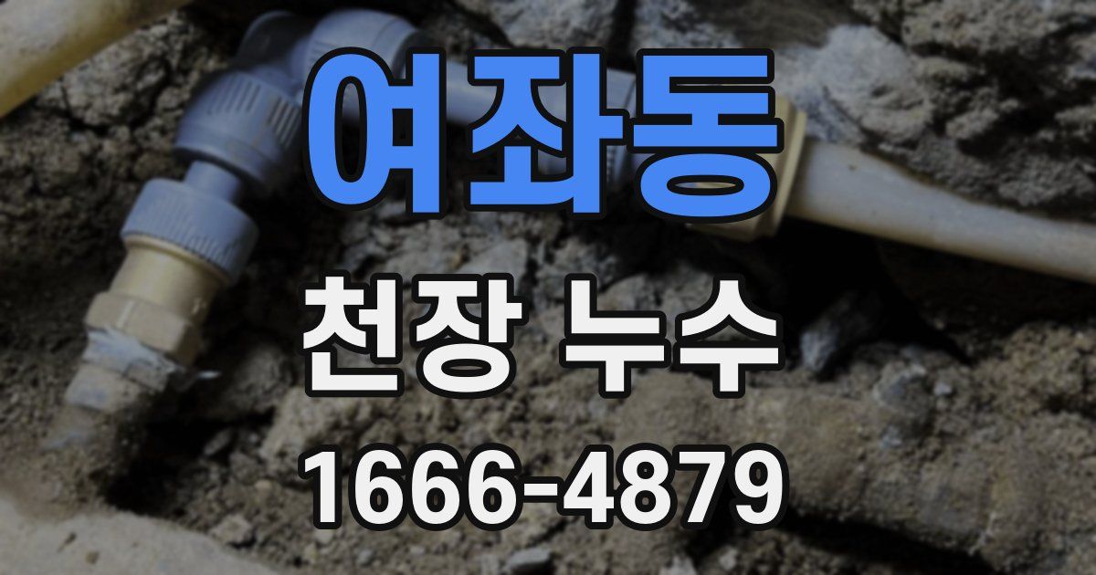 여좌동 천장 누수