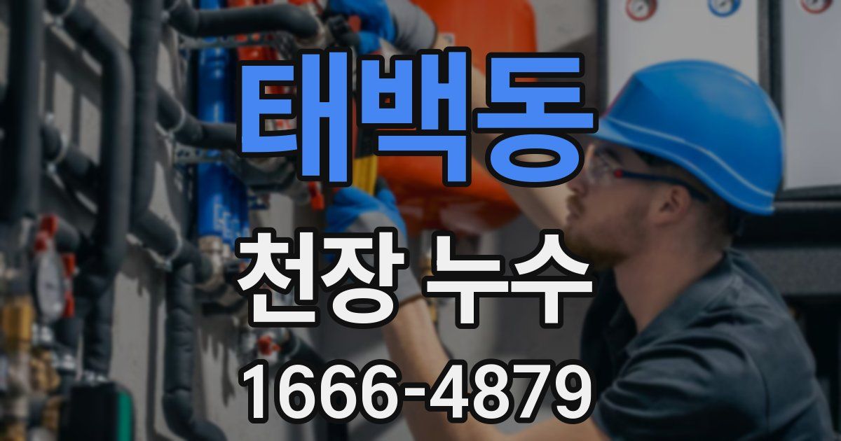 태백동 천장 누수