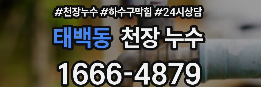 태백동 천장 누수