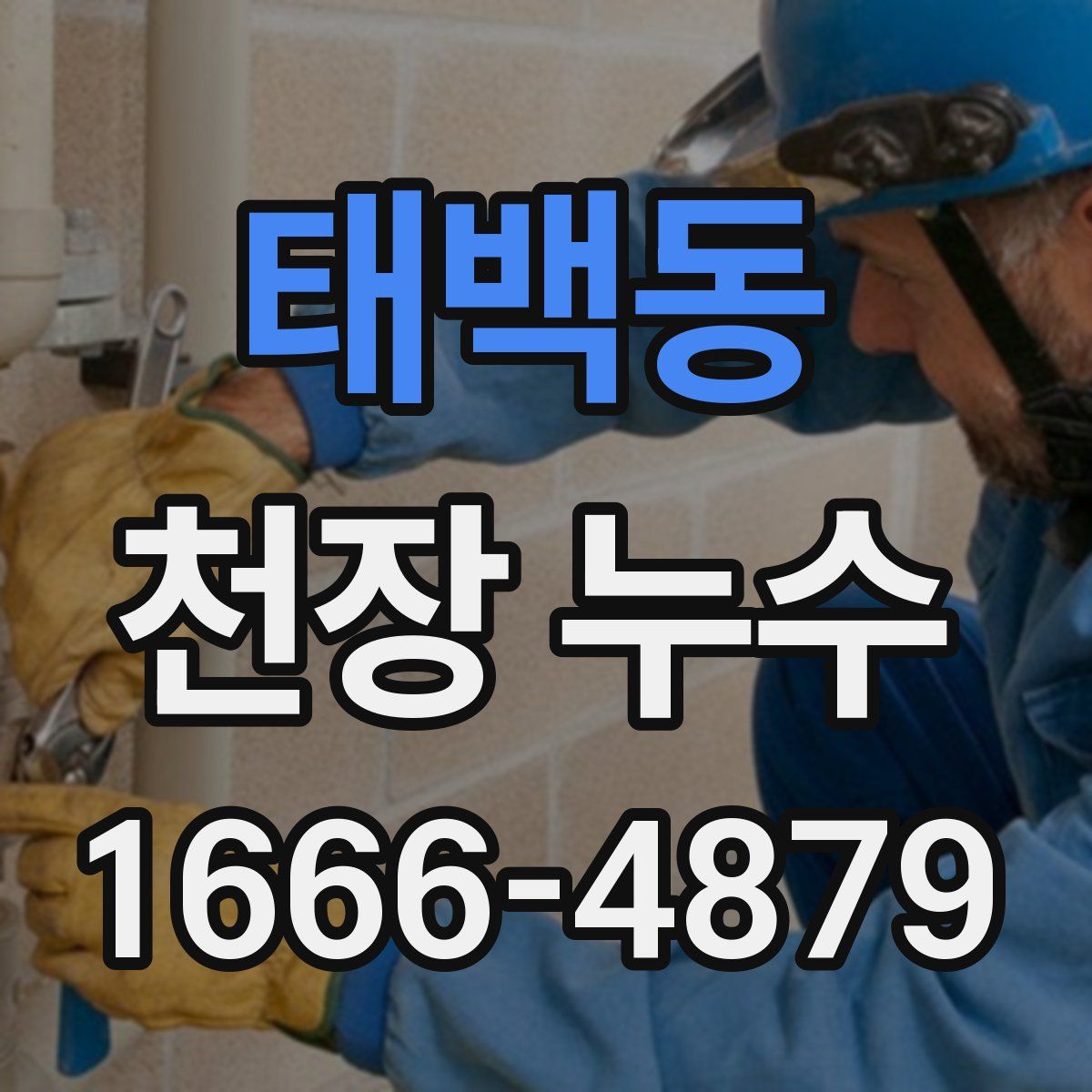 태백동 천장 누수