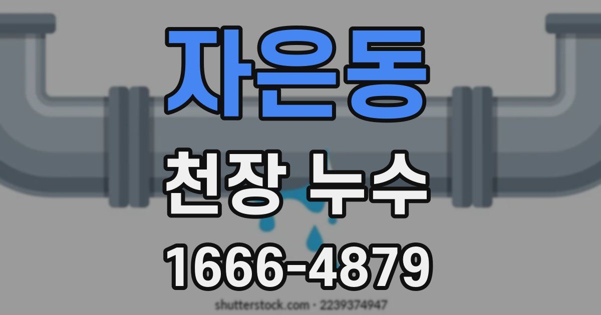 자은동 천장 누수