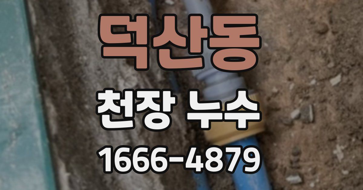 덕산동 천장 누수