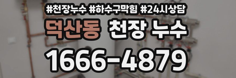 덕산동 천장 누수