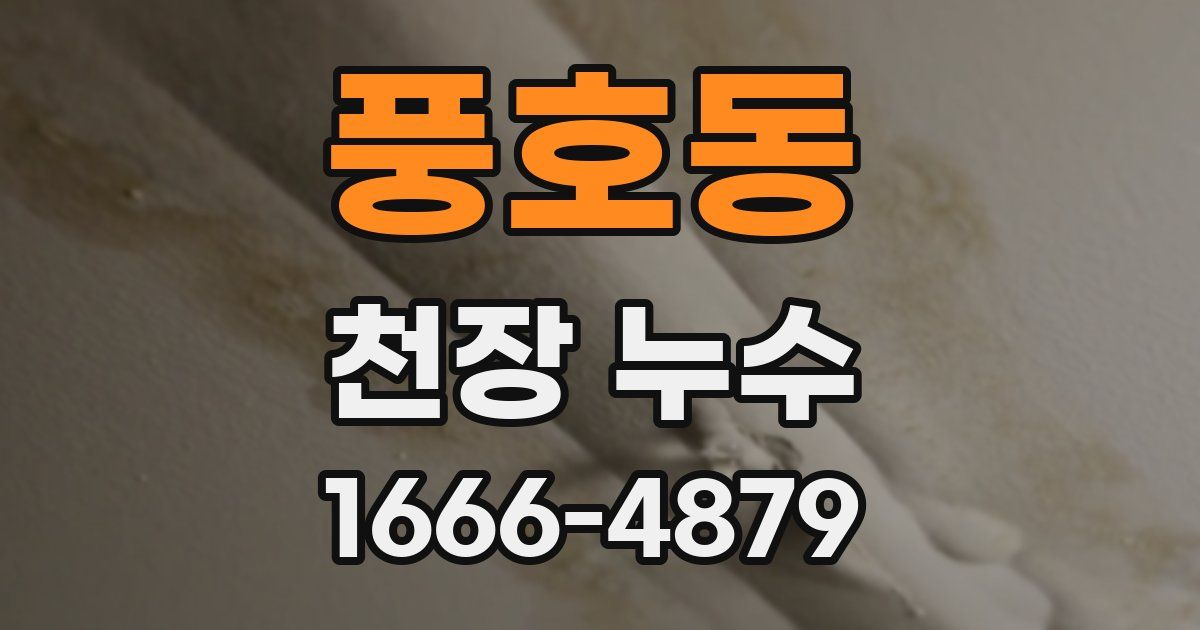 풍호동 천장 누수