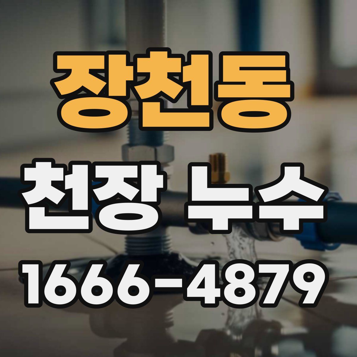 장천동 천장 누수