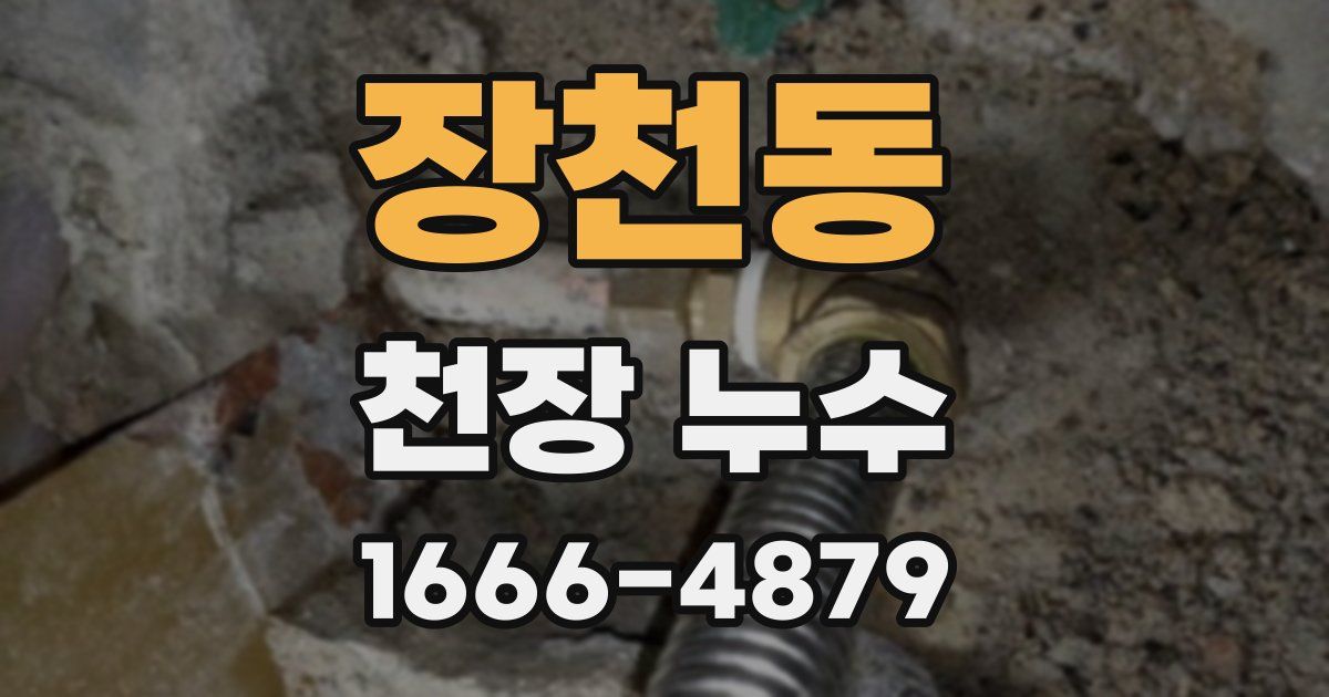 장천동 천장 누수