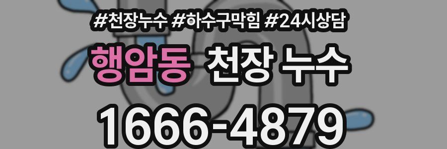 행암동 천장 누수