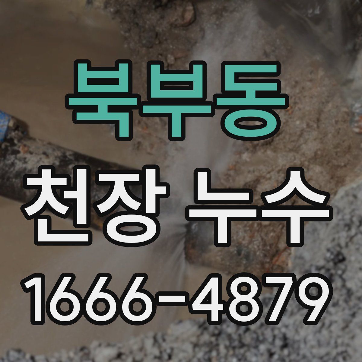 북부동 천장 누수