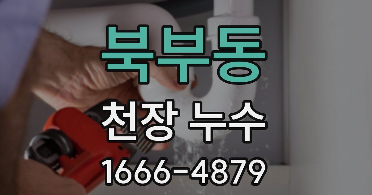 북부동 천장 누수