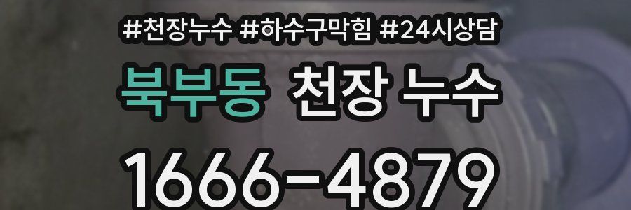 북부동 천장 누수