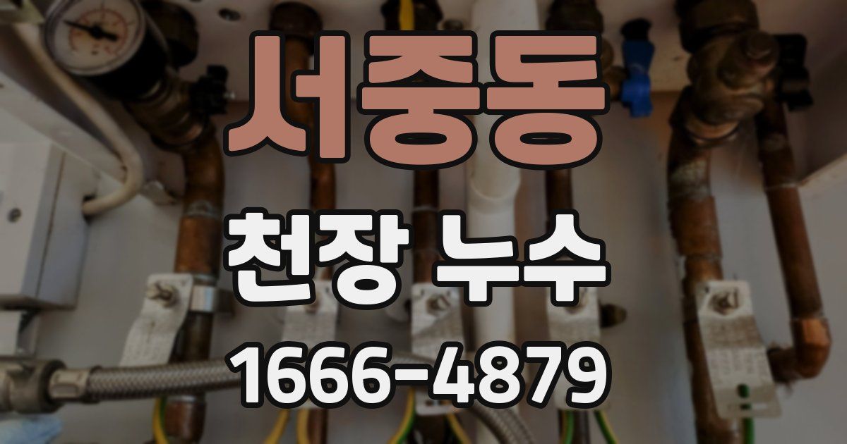 서중동 천장 누수