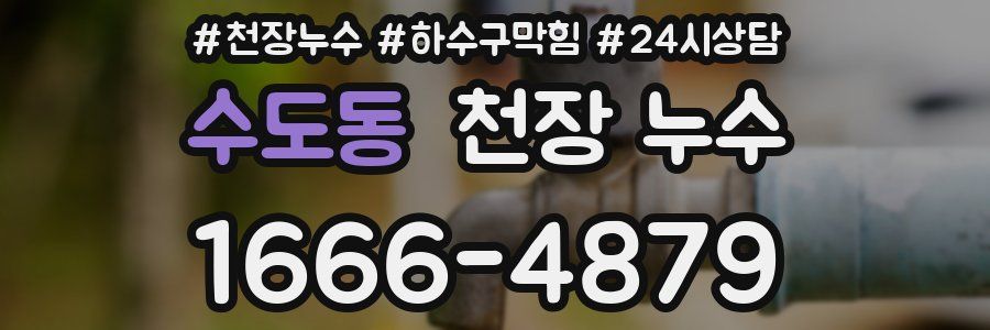 수도동 천장 누수