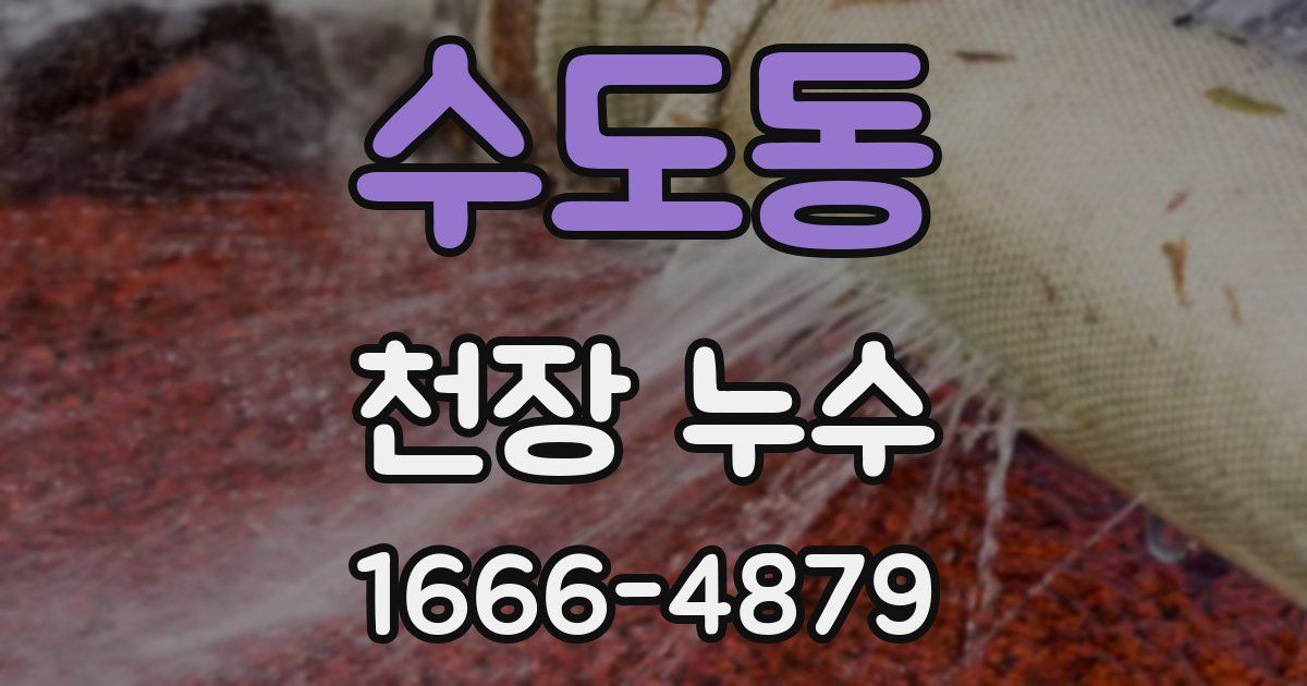 수도동 천장 누수