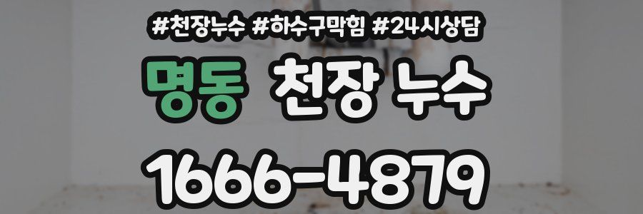 명동 천장 누수