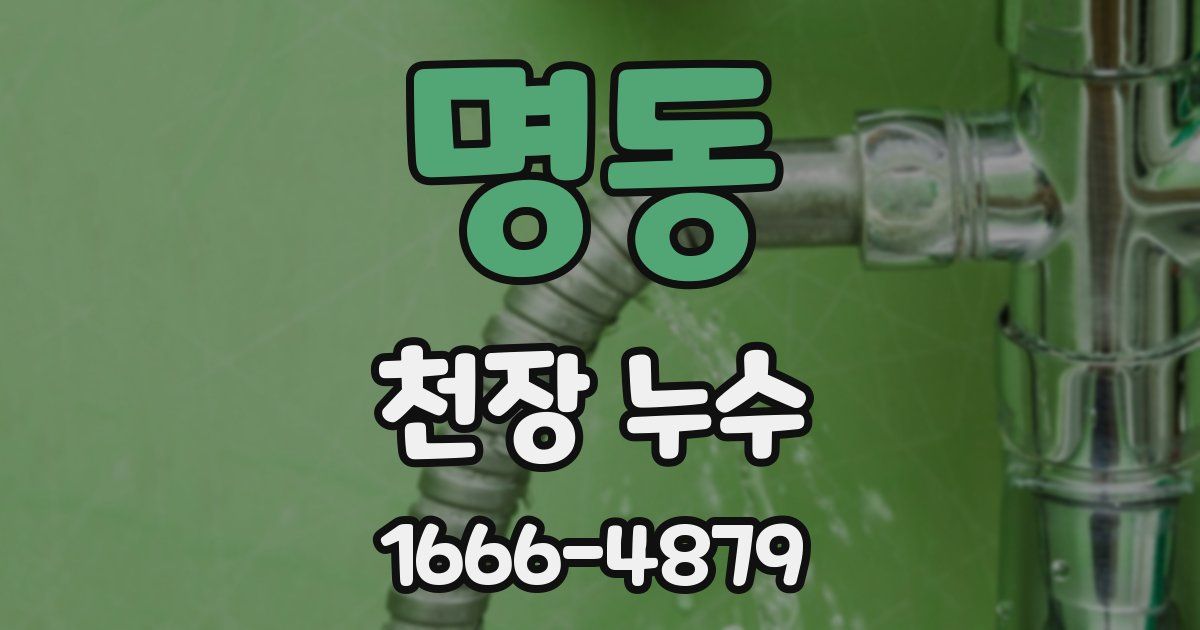 명동 천장 누수