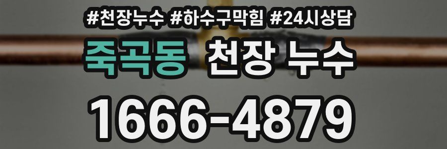 죽곡동 천장 누수