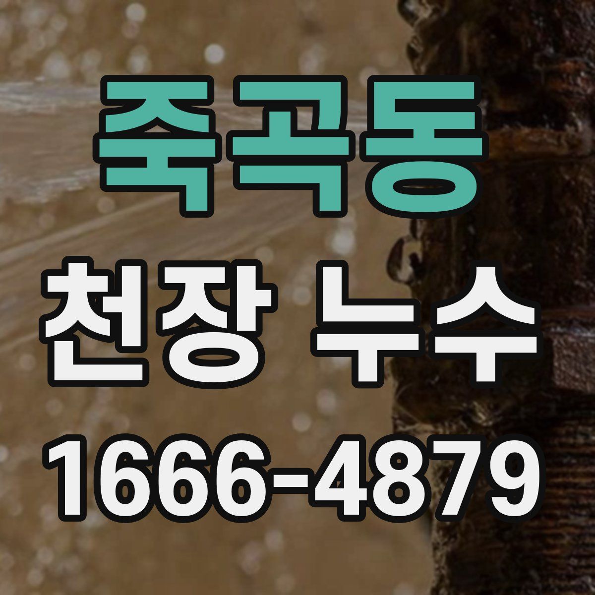 죽곡동 천장 누수