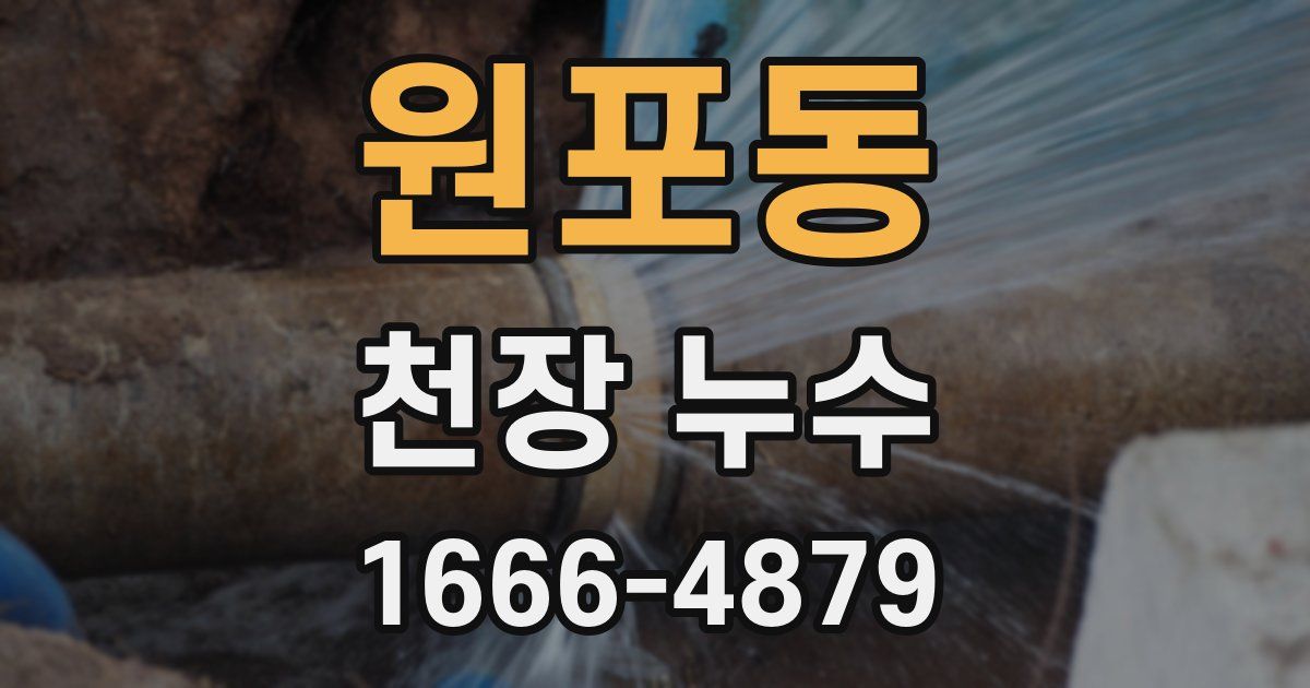 원포동 천장 누수