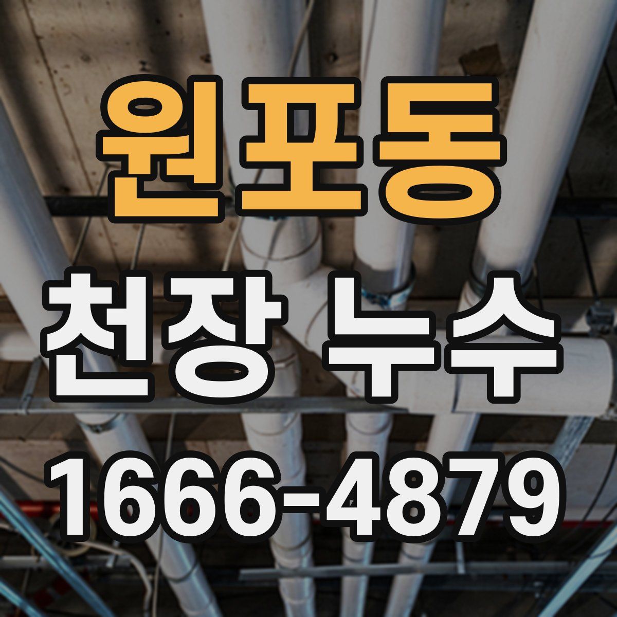 원포동 천장 누수