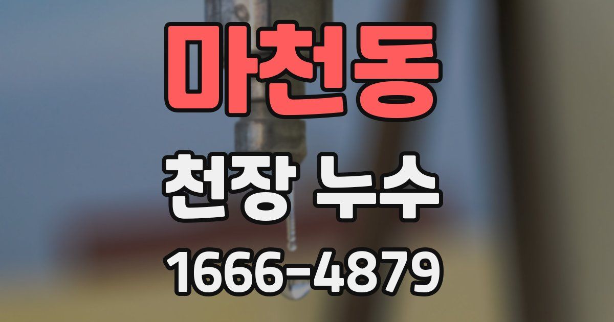 마천동 천장 누수