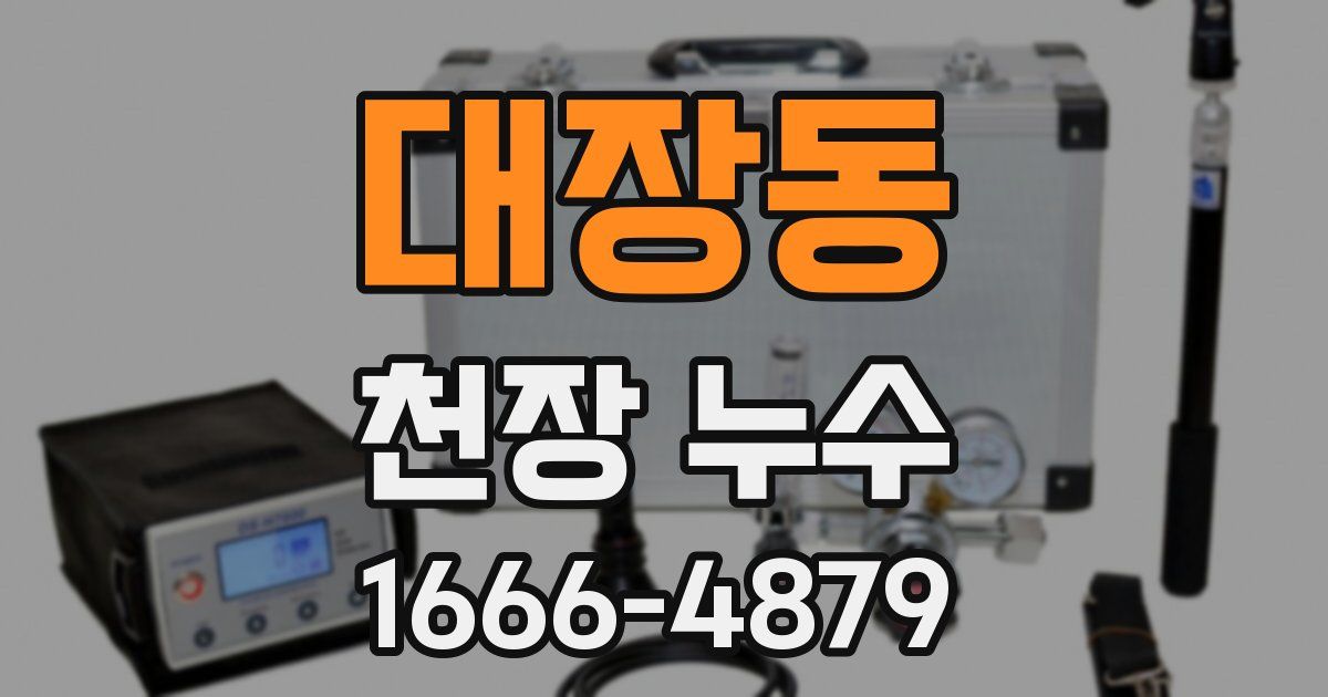대장동 천장 누수