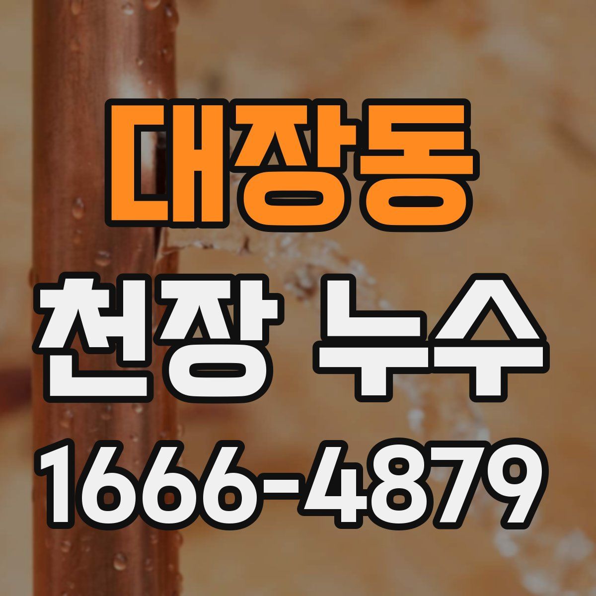 대장동 천장 누수