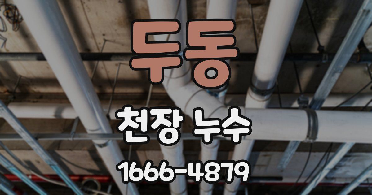 두동 천장 누수