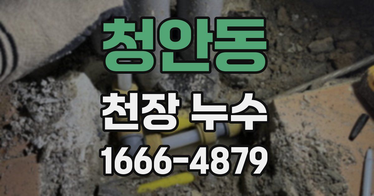 청안동 천장 누수