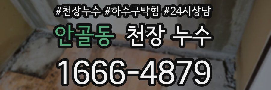 안골동 천장 누수