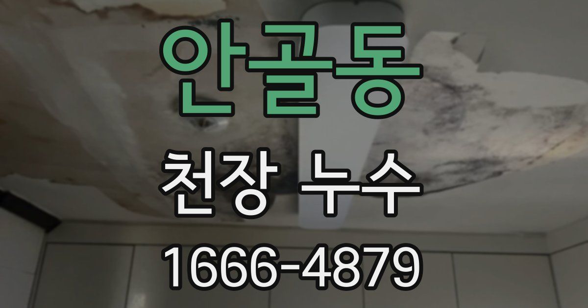 안골동 천장 누수