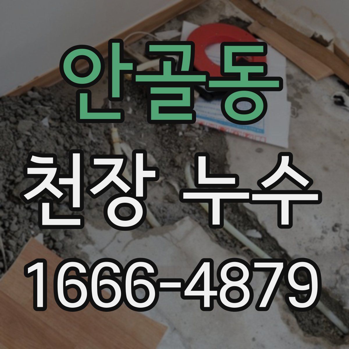 안골동 천장 누수