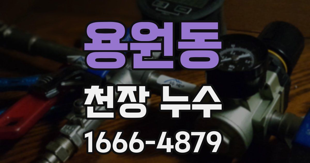 용원동 천장 누수