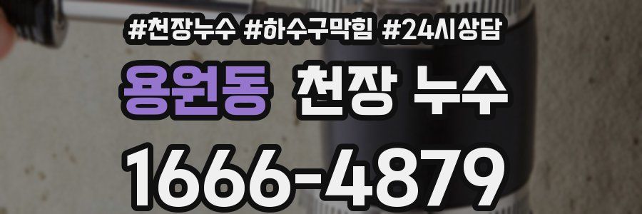 용원동 천장 누수