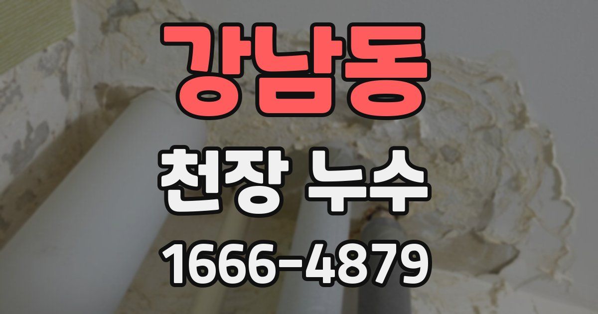 강남동 천장 누수