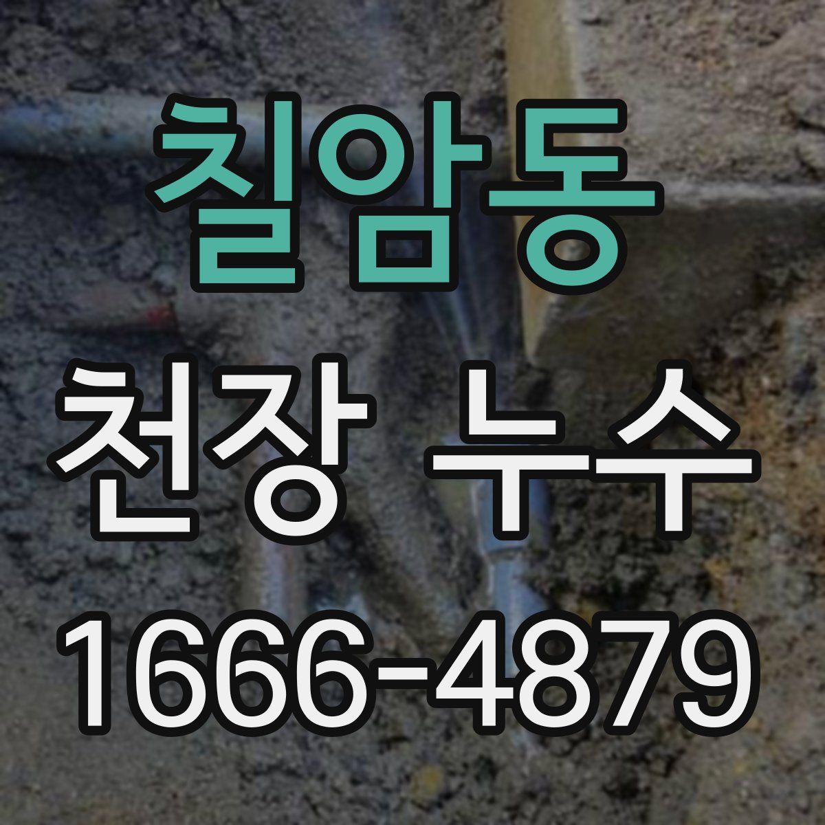 칠암동 천장 누수