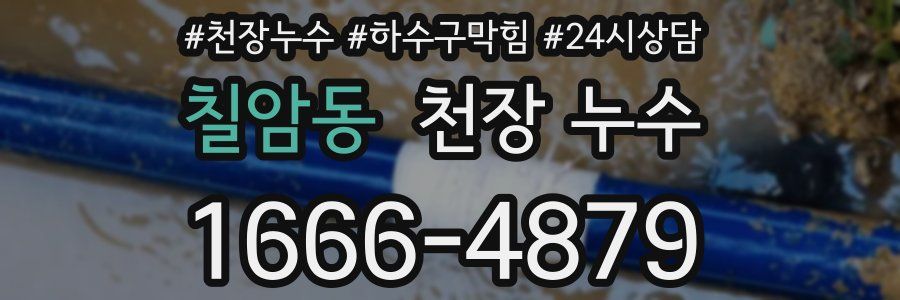 칠암동 천장 누수