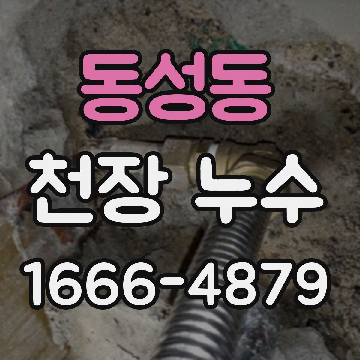 동성동 천장 누수