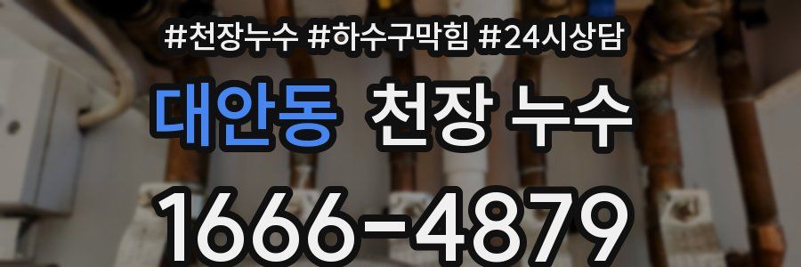 대안동 천장 누수