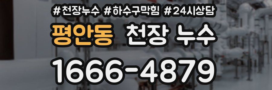 평안동 천장 누수