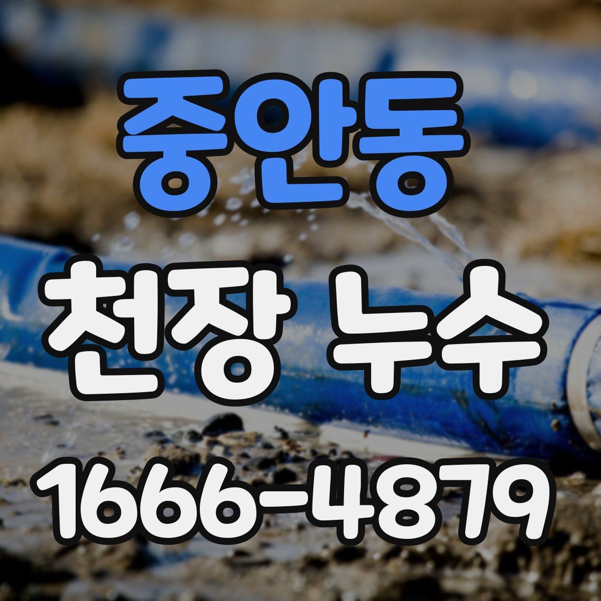 중안동 천장 누수